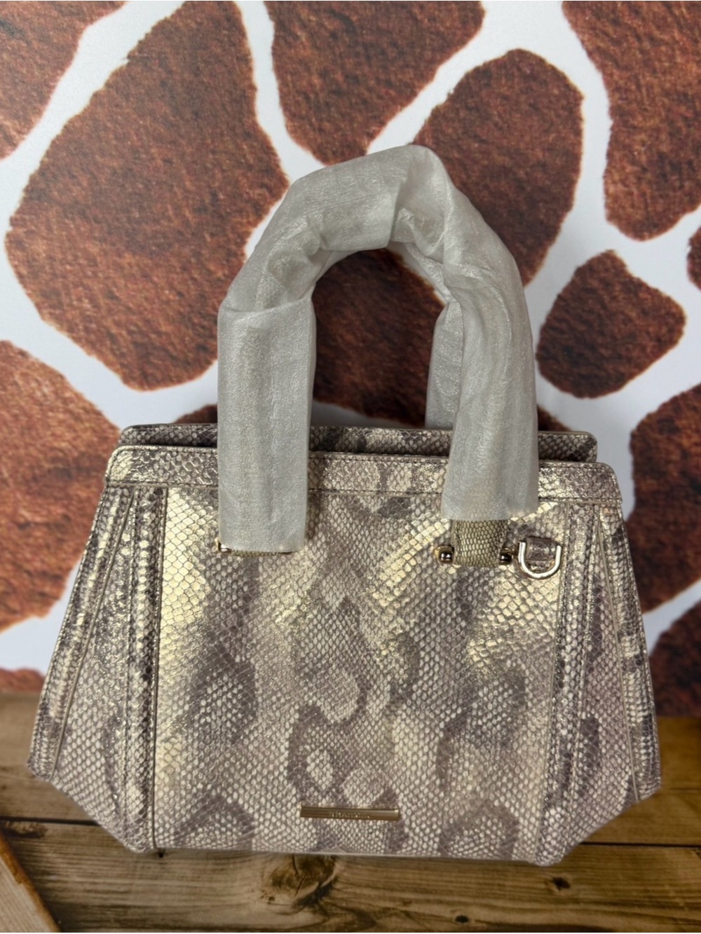 NWT Brahmin Small Arden Gold Blissful Snake BRAHMIN CAPSULE LIMITED EDITION $415 - Picture 12 of 16